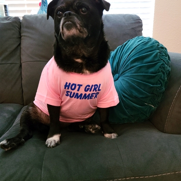 Meet your Posher, Melanie (Violet). - Picture 10 of 16